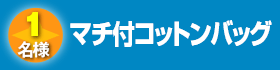 マチ付コットンバッグ