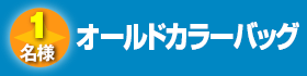 オールドカラーA4バッグ