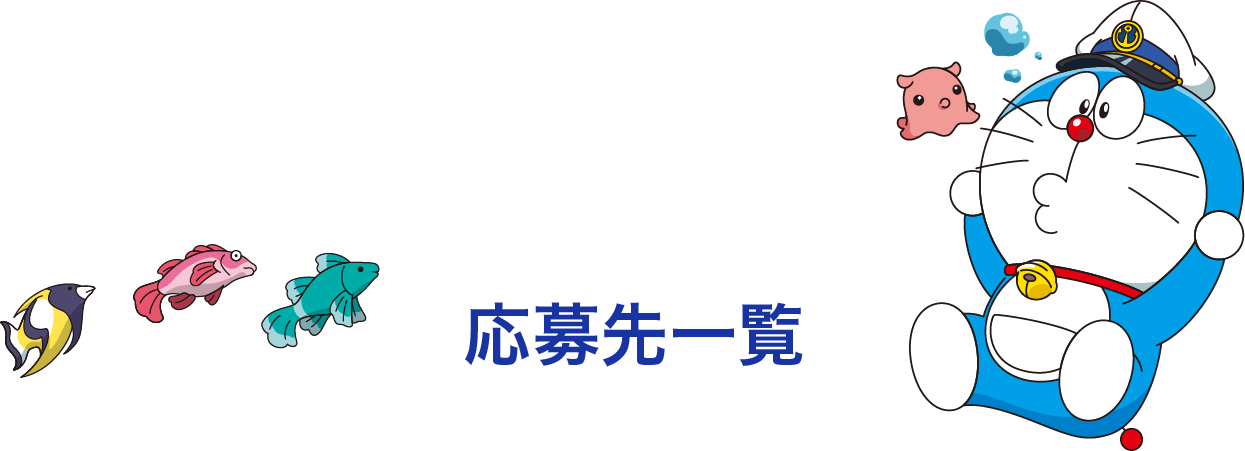 応募先一覧